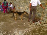19940715-Image_5.jpg