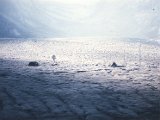 19940730-Pasterze_3.jpg